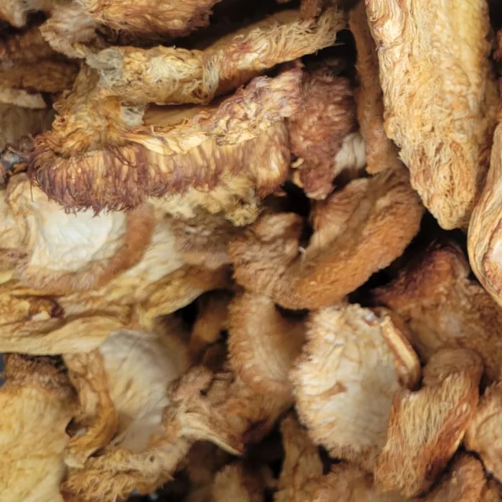 Mushrooms - Dried Lion's Mane