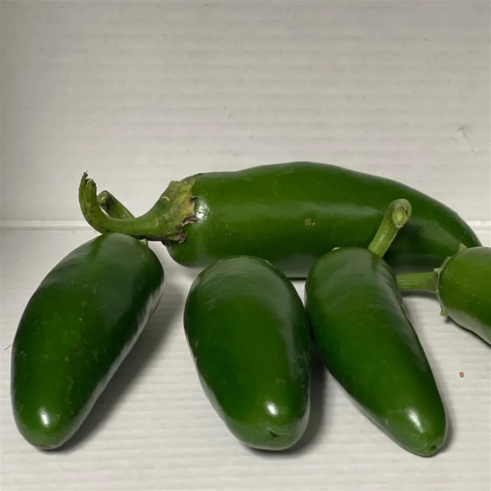 Jalapeño Peppers
